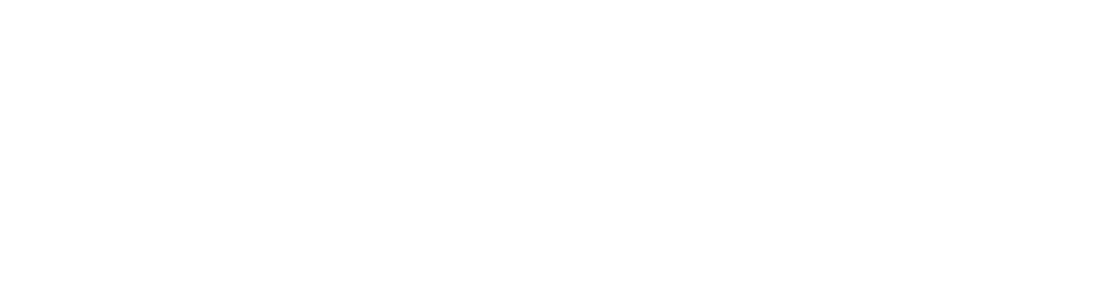 Beach Party Records